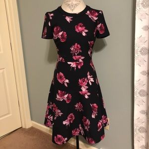 NWT Darling Kate Spade Rose Fit and Flare Dress